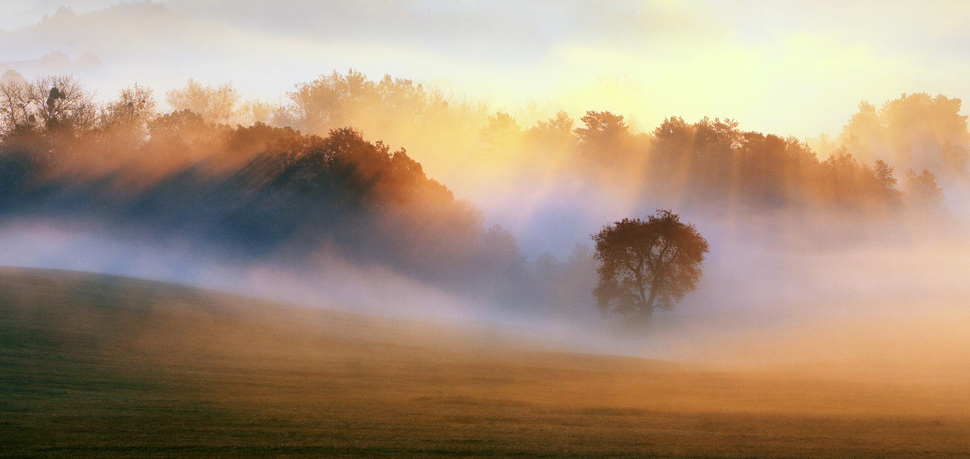 Autumn 5