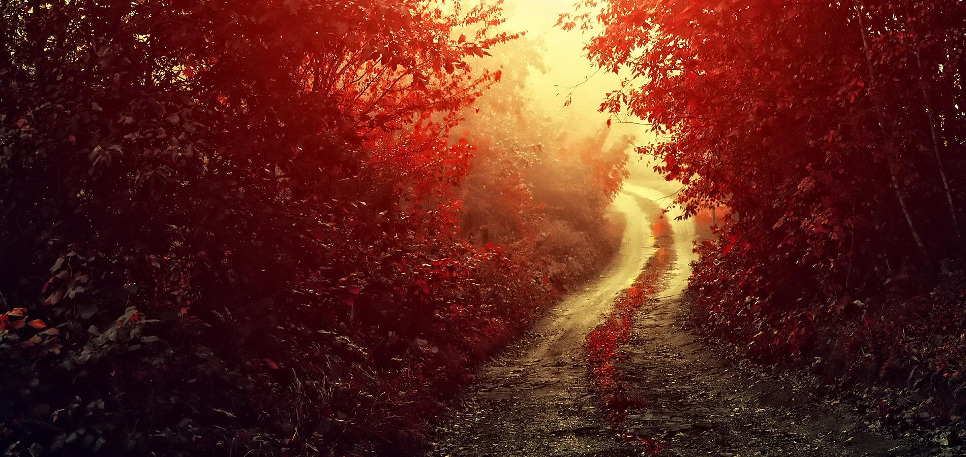Autumn 6
